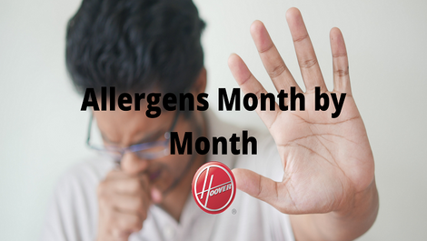 Allergens Monthly Guide