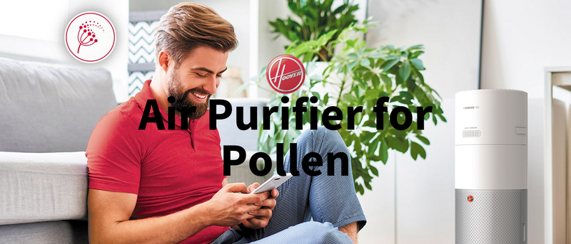 air purifier for pollen